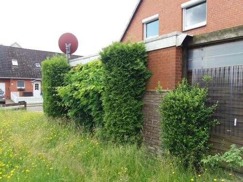 Foto - 4 Zimmer Doppelhaushälfte zum Kaufen in Faßberg
