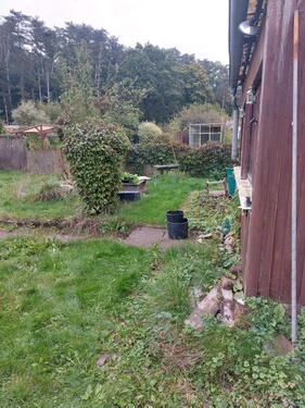 Foto - Grundstück in Nordhausen zur Miete