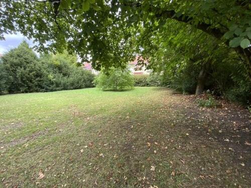 Foto - 3 Zimmer Erdgeschoßwohnung zur Miete in Sömmerda