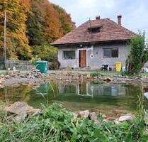 Haus in Transilvanien zu verkaufen - Ganderkesee