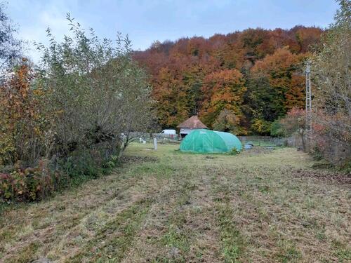 Foto - 1 Zimmer Einfamilienhaus zum Kaufen in Ganderkesee
