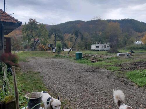 Foto - Einfamilienhaus in Ganderkesee zum Kaufen
