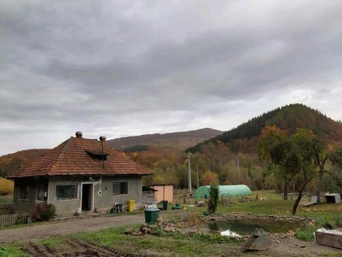 Foto - 