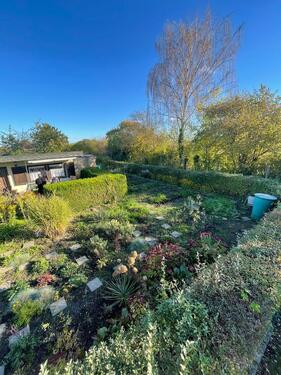 Foto - Grundstück in Halle (Saale)