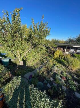 Foto - Grundstück in Halle (Saale) zur Miete