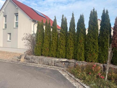 Foto - 5 Zimmer Einfamilienhaus in Jagsthausen