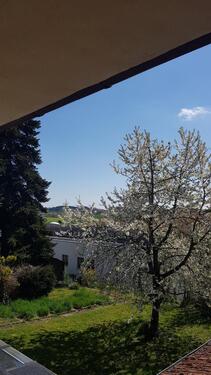 Foto - 2 Zimmer Erdgeschoßwohnung in Velden