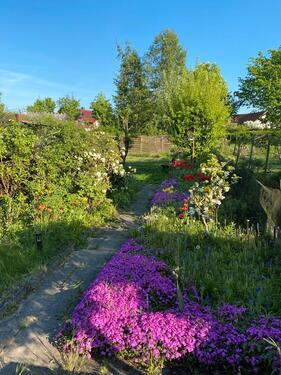 Foto - Charmanter Kleingarten mit verputzter Steinlaube in Ochtersum