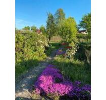 Charmanter Kleingarten mit verputzter Steinlaube in Ochtersum - Hildesheim