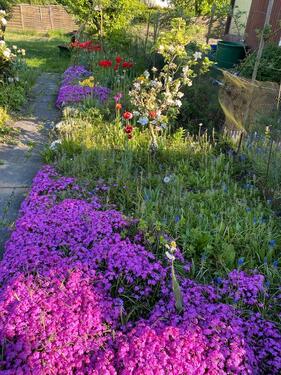 Foto - Grundst&uuml;ck zur Miete in Hildesheim