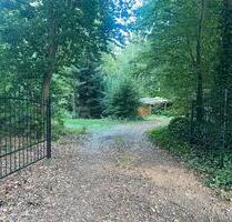 Ferienhaus mit großem Grundstück in Waldlage - Guxhagen