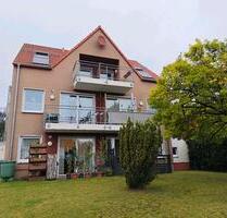 Schöne Dachgeschoss Wohnung Altersgerecht in Barntrup 41qm