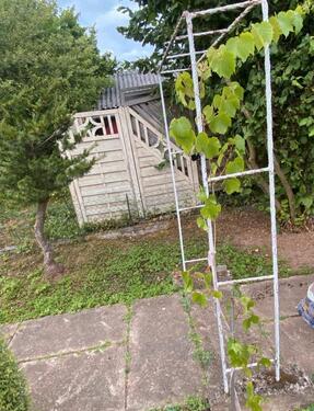 Foto - Grundst&uuml;ck in Kassel zur Miete