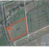 Flächen zur Heugewinnung - 387,00&nbsp;EUR Kaltmiete, ca.&nbsp; 0,00&nbsp;m&sup2; in Amt Wachsenburg (PLZ: 99334)