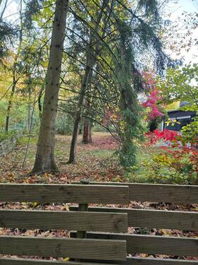 Foto - 8 Zimmer Einfamilienhaus in Sulzbach (Saar)