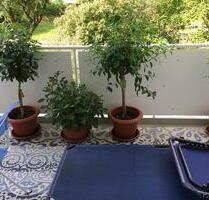 5,5 Zimmer plus 2 Hobbyräume in Pattonville, wohnen im Grünen, - Remseck am Neckar