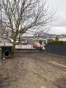 Foto - Einfamilienhaus zum Kaufen in Knittlingen