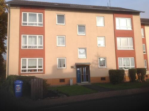 Foto - Hier könnte Ihr neues Zuhause warten