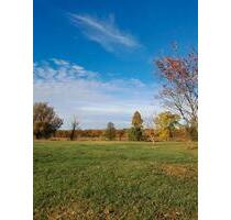 Villa nahe Sudmerberg kein Denkmalschutz - Goslar Jürgenohl