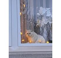 Wg Zimmer ab 1 .5 frei - 700,00&nbsp;EUR Kaltmiete, ca.&nbsp; 25,00&nbsp;m&sup2; in Nauheim (PLZ: 64569)