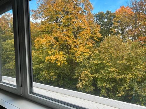 Foto - andere in Ulm