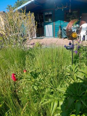 Foto - Wunderschöner Garten mit Holzhaus, Terrasse und vielen Obstbäumen