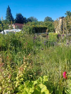 Foto - Einfamilienhaus in Gingst zum Kaufen
