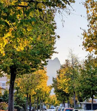 Foto - Etagenwohnung in Bad Reichenhall zum Kaufen