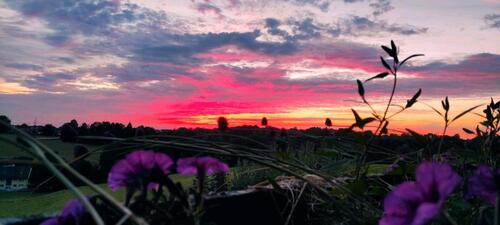 Foto - Einfamilienhaus mit Einliegerwohnung