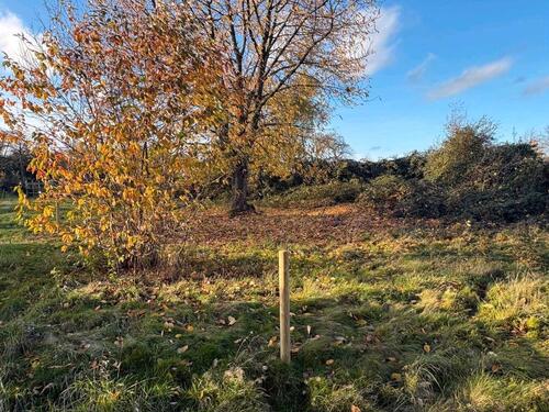 Foto - Grundstück zur Miete in Übach-Palenberg
