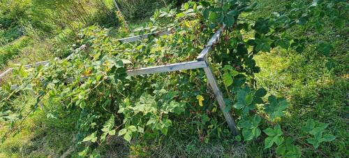 Foto - Grundst&uuml;ck in Meiningen