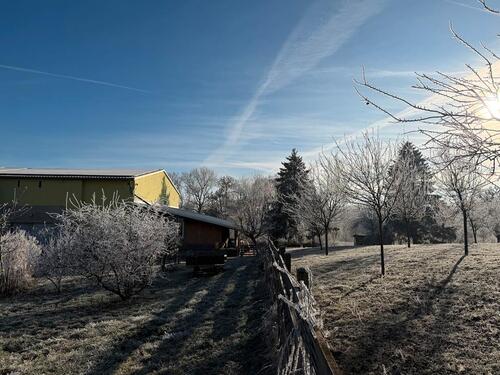 Foto - 9 Zimmer Einfamilienhaus in Bad Sulza