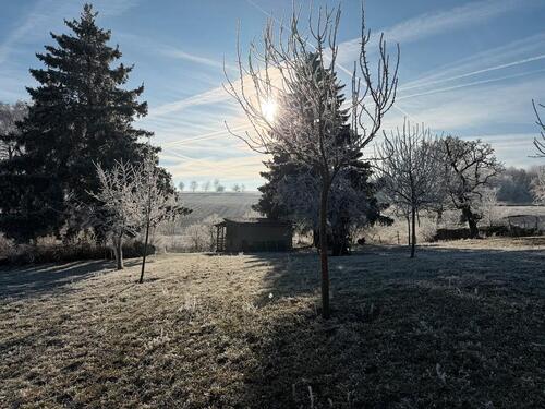 Foto - Einfamilienhaus in Bad Sulza zum Kaufen