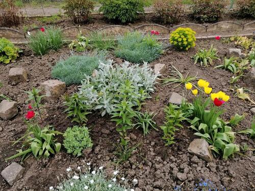 Foto - Garten Kleingarten in Merseburg
