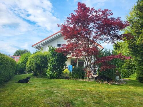Foto - 5 Zimmer Einfamilienhaus zum Kaufen in Waltenhofen