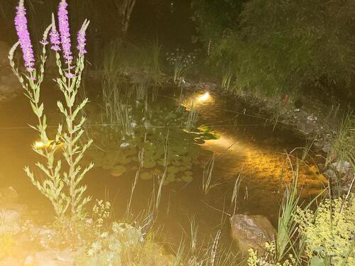 Foto - 5 Zimmer Einfamilienhaus in Waltenhofen