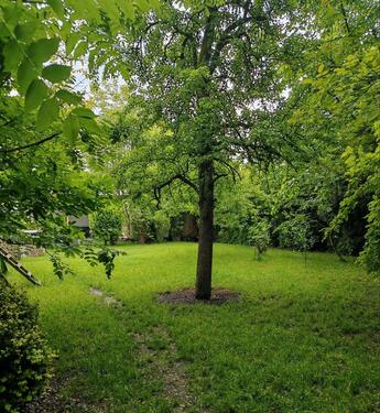 Foto - 4.5 Zimmer Einfamilienhaus zum Kaufen in Heimertingen