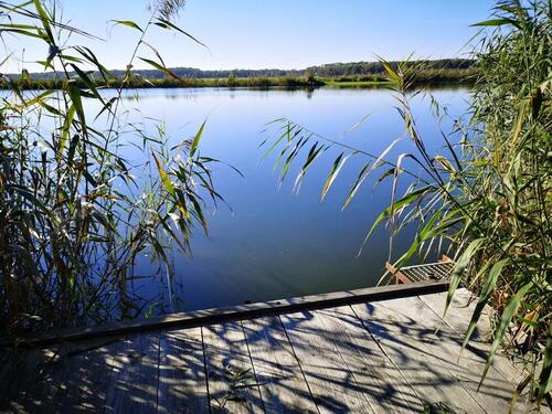 Foto - Bungalow direkt am See mit Steg und Boot