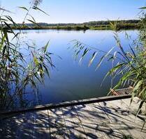 Bungalow direkt am See mit Steg und Boot - Zerbst (Anhalt) Leps