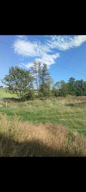 Foto - Schönes Freuzeitgrundstück in Hergensweilr bei Lindau