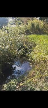 Foto - Grundst&uuml;ck in Sigmarszell zur Miete