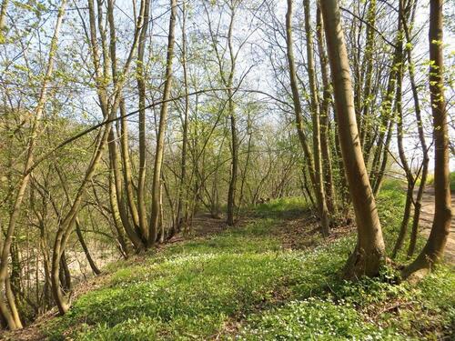 Foto - 400,00&nbsp;EUR Kaltmiete, ca.&nbsp; 0,00&nbsp;m&sup2;
