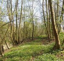 400,00&nbsp;EUR Kaltmiete, ca.&nbsp; 0,00&nbsp;m&sup2; in Arnstein (PLZ: 06456)