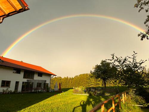 Foto - Helle 2-Zimmer-Wohnung in idyllischer Lage