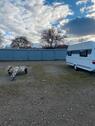 Foto - Stellplatz für WohnmobilWohnwagen