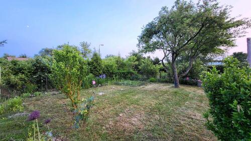 Foto - Grundst&uuml;ck zur Miete in Halle (Saale)