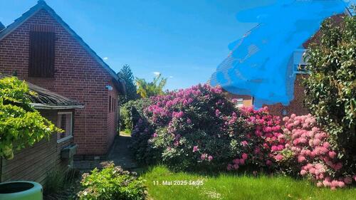 Foto - Einfamilienhaus in Sudwalde zum Kaufen