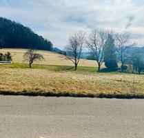 Unverbaubares Traumgrundstück ! Jetzt diese Möglichkeit sichern ! - Lichtenstein