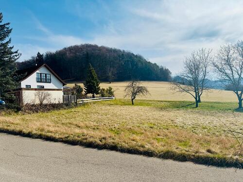 Foto - Grundst&uuml;ck zum Kaufen in Lichtenstein