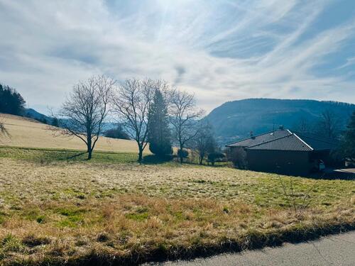 Foto - Grundst&uuml;ck in Lichtenstein